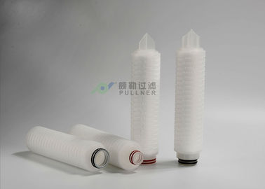 Pharmaceutics Membrane Filter Cartridge 0.1um 0.22um 0.45um PES Plisowany
