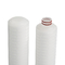 10-calowy wkład filtra z membraną plisowaną Pp do uzdatniania wody i drobnych chemikaliów